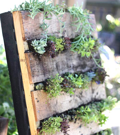 Вертикална градинка от дървени палета
