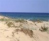 В новата защитена зона 'Камчия' строителство върху дюни ще бъде забранено