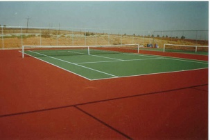    Aryl Tennis