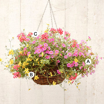 21 красиви висящи кошнички за дома и градината