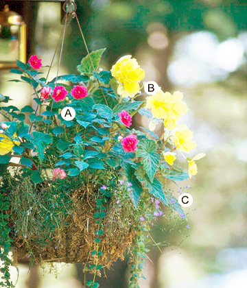  21 красиви висящи кошнички за дома и градината - 2