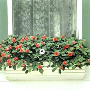 20 красиви саксии за прозорците - 2