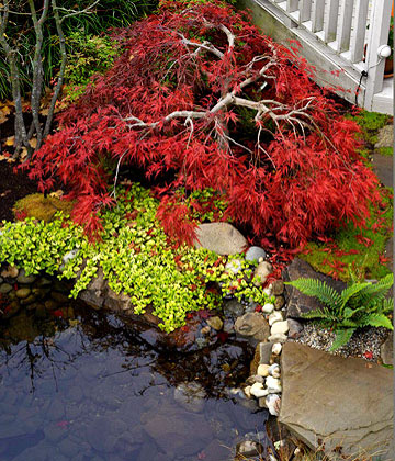 Елементи на екзотичните японски градини