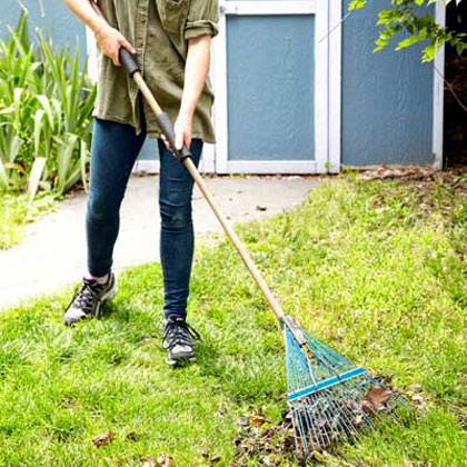 Yard cleaning. Клеан Гарден. Garden Cleaning. Yard Cleaning Photography.