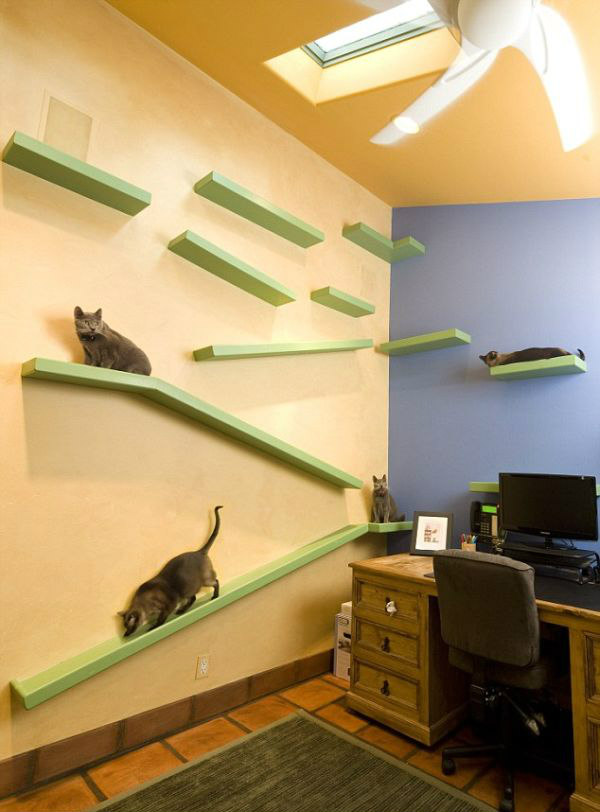 Реновирана къща в Калифорния - рай за котките