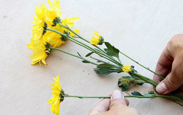 Как да запазим цветята свежи