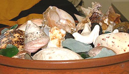 раковини