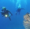 6 млн. евро инвестират в център за водолазен спорт край Царево 6 млн. евро инвестират в център за водолазен спорт край Царево