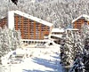 Super Borovets Project under Attack by Eco Organisations Super Borovets Project under Attack by Eco Organisations