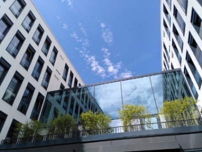 Xella Group -        
